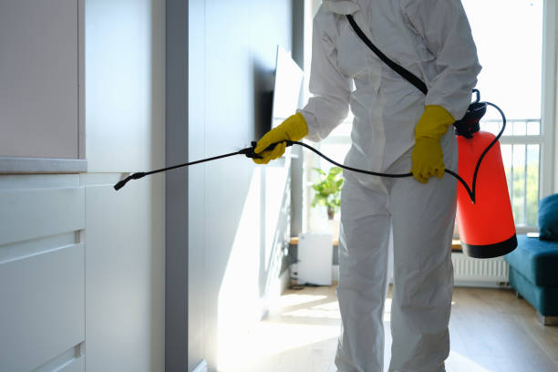 Best Certified Mold Removal  in Lake Lorraine, FL